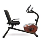 دوچرخه ثابت مبله پاندا L 360 دوچرخه ثابت مبله پاندا L 360 5