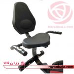 دوچرخه ثابت پاندا B352R