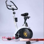 دوچرخه ثابت لیدر اسپرت مدل Leader sport 6260